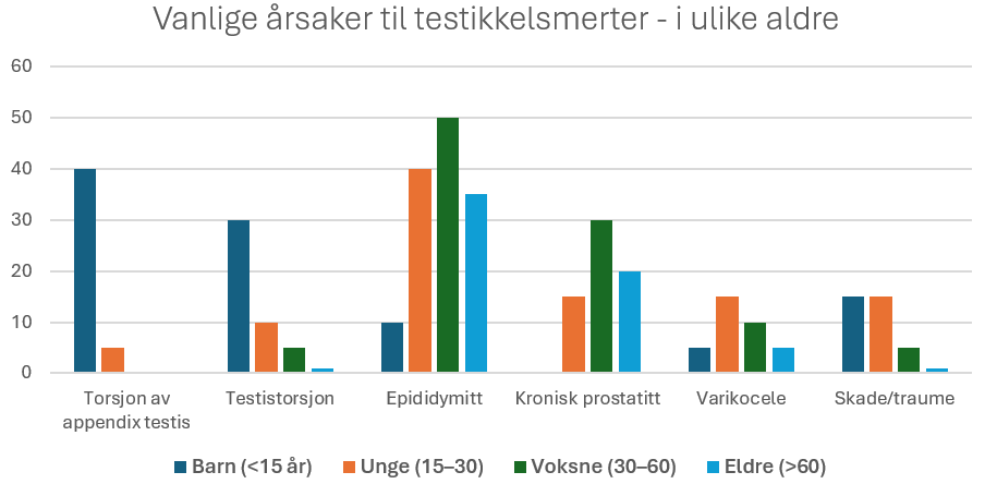 Vanlige årsaker til testikkelsmerter - i ulike aldre: Statisk andel per plage