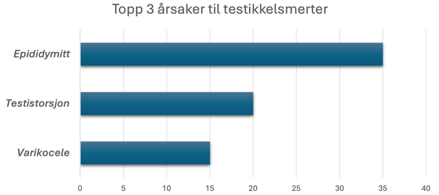 Topp 3 &aring;rsaker til testikkelsmerter: Statistisk andel per tilstand