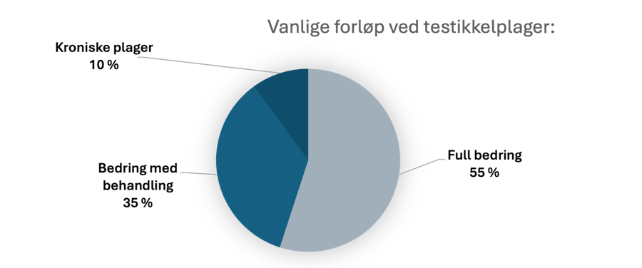 Vanlige forl&oslash;p ved testikkelplager: Statistisk andel per prognose