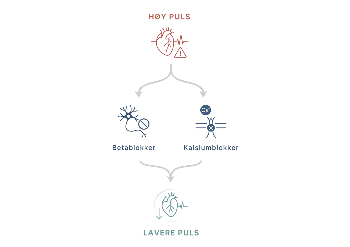 Illustrasjon som viser to ulike mekanismer for å senke pulsen: Betablokkere virker via nervesystemet, mens kalsiumblokkere reduserer aktiviteten i hjertets kalsiumkanaler.