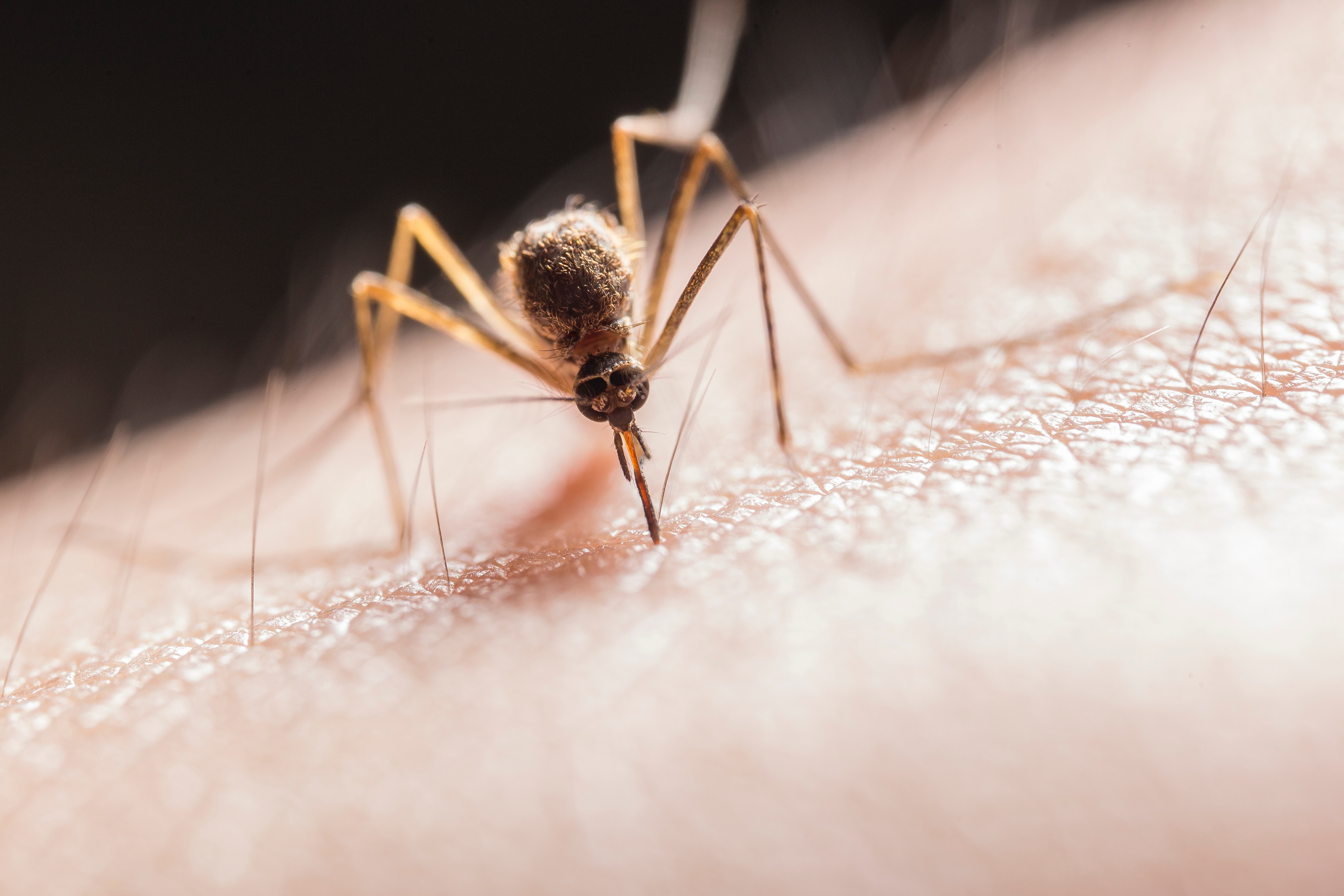 Forebyggende tiltak mot malaria ved reise
