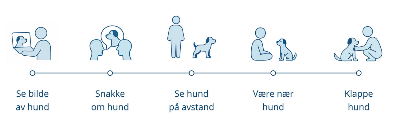 Tidslinje som illustrerer trinnvis eksponeringsterapi ved fobi for hunder &ndash; fra &aring; se bilde av hund til &aring; klappe hund. Hver fase vises med enkle ikoner og beskrivende tekst under.